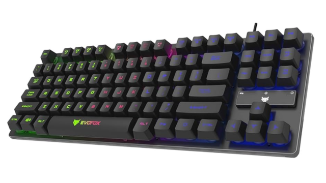 EvoFox Katana X2 – Style Meets Substance